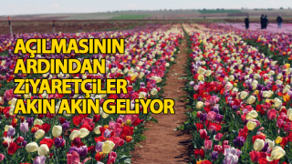 Resim