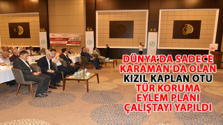 Resim