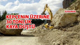resim