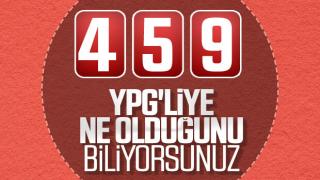 resim