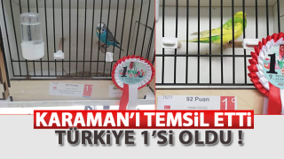 resim
