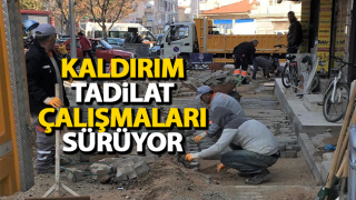 resim