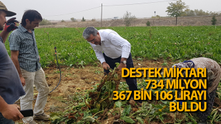 Resim