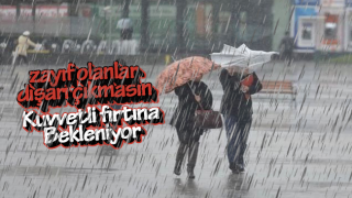 Resim