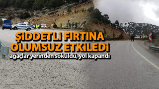 Resim