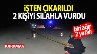 Resim