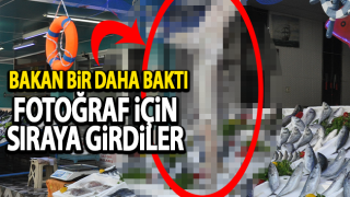 resim