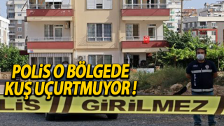 Resim