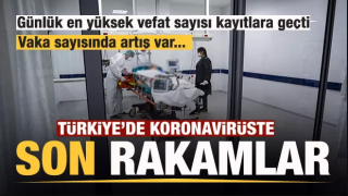 resim