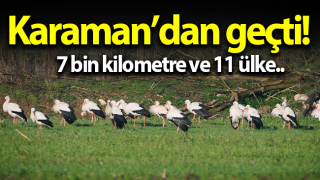 resim