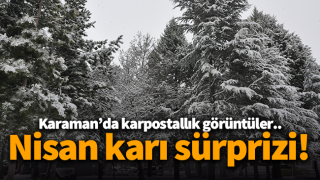 resim