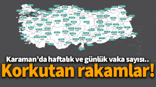 resim