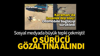 resim