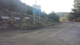 Resim
