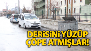 Resim