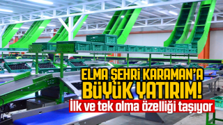 resim