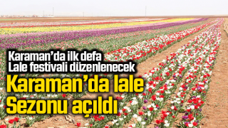 resim