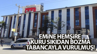 Resim