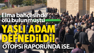 Resim