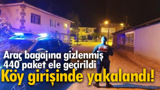 Resim