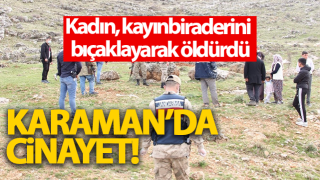 Resim