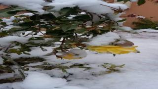 Karaman'dan kar manzaraları