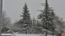 Karaman'da kar yağışı etkili oluyor