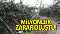 Karaman'da şiddetli yağış binlerce elma ağacını kökünden kırdı