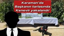 Karaman’da Siyasi Parti Başkanının Tarlasında Kenevir Yakalandı