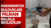 Karaman’da gagası iple bağlı pelikan bulundu